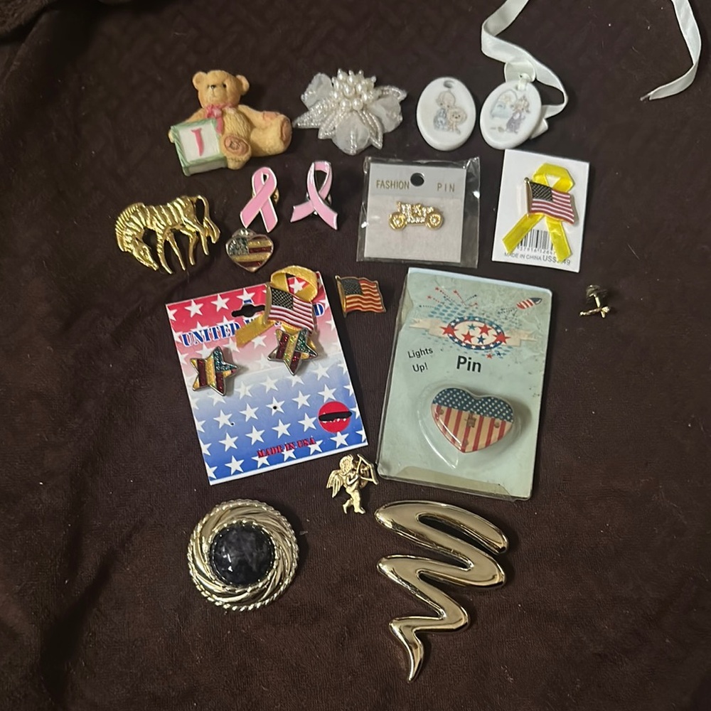 Assorted Pin and Brooch Collection